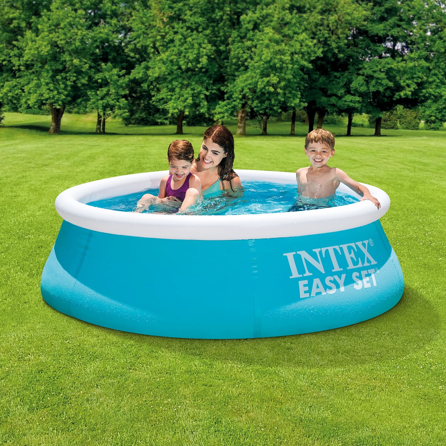 Бассейн надувной круглый 183х51см серии Easy Set Pool Intex 28101 880л